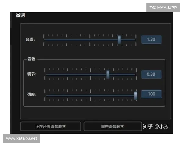 提升MorphVox Pro使用体验的五大技巧,让你的语音更具震撼力 提升MorphVox Pro使用体验的五大技巧,让你的语音更具震撼力