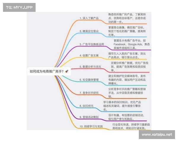 十大实用法宝属性应用技巧全方位盘点提升效率与能力的必备指南 十大实用法宝属性应用技巧全方位盘点提升效率与能力的必备指南