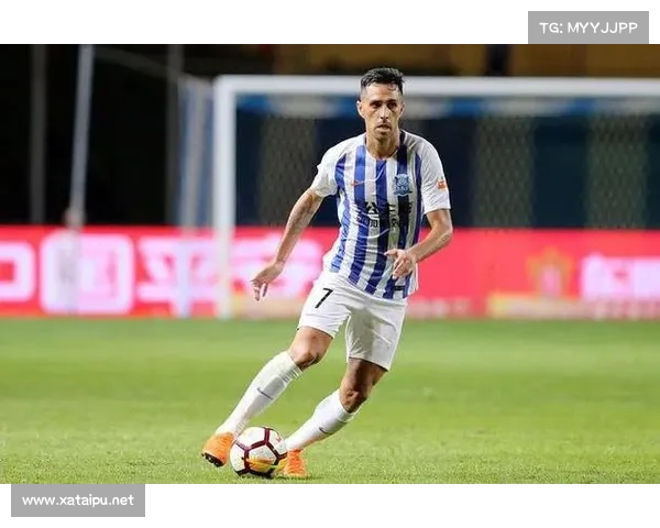 扎哈维退役背后的五大原因深度分析